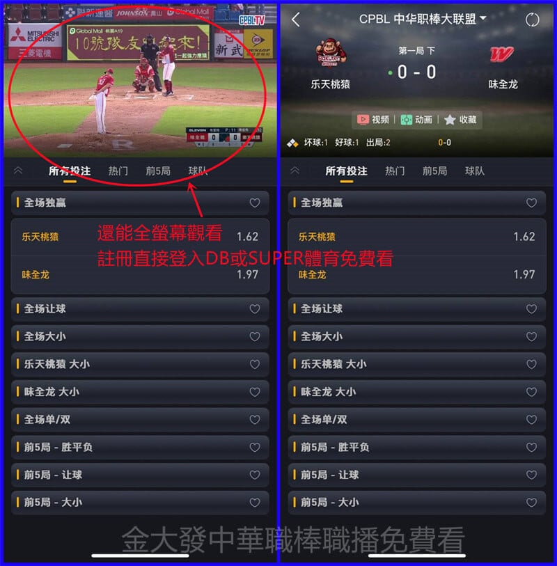 中華職棒直播免費線上看金大發